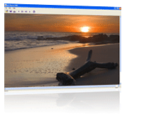 Viewing Documents